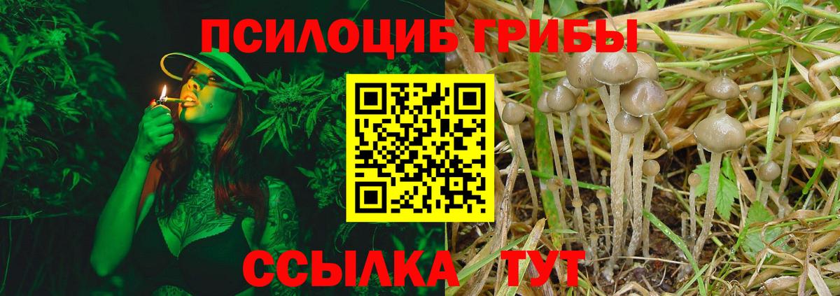Псилоцибиновые грибы Magic Shrooms Осинники